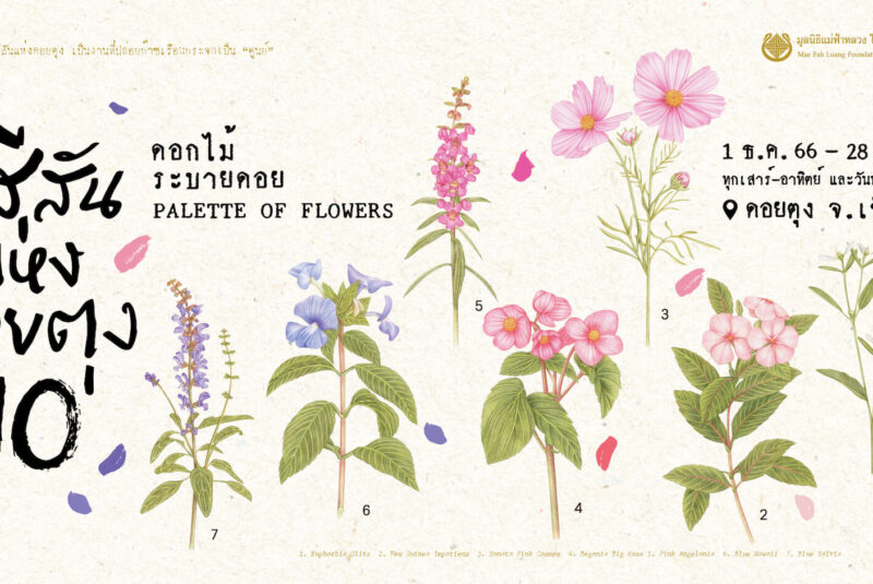 เทศกาลสีสันแห่งดอยตุง ครั้งที่ 10 ในธีม “ดอกไม้ระบายดอย"