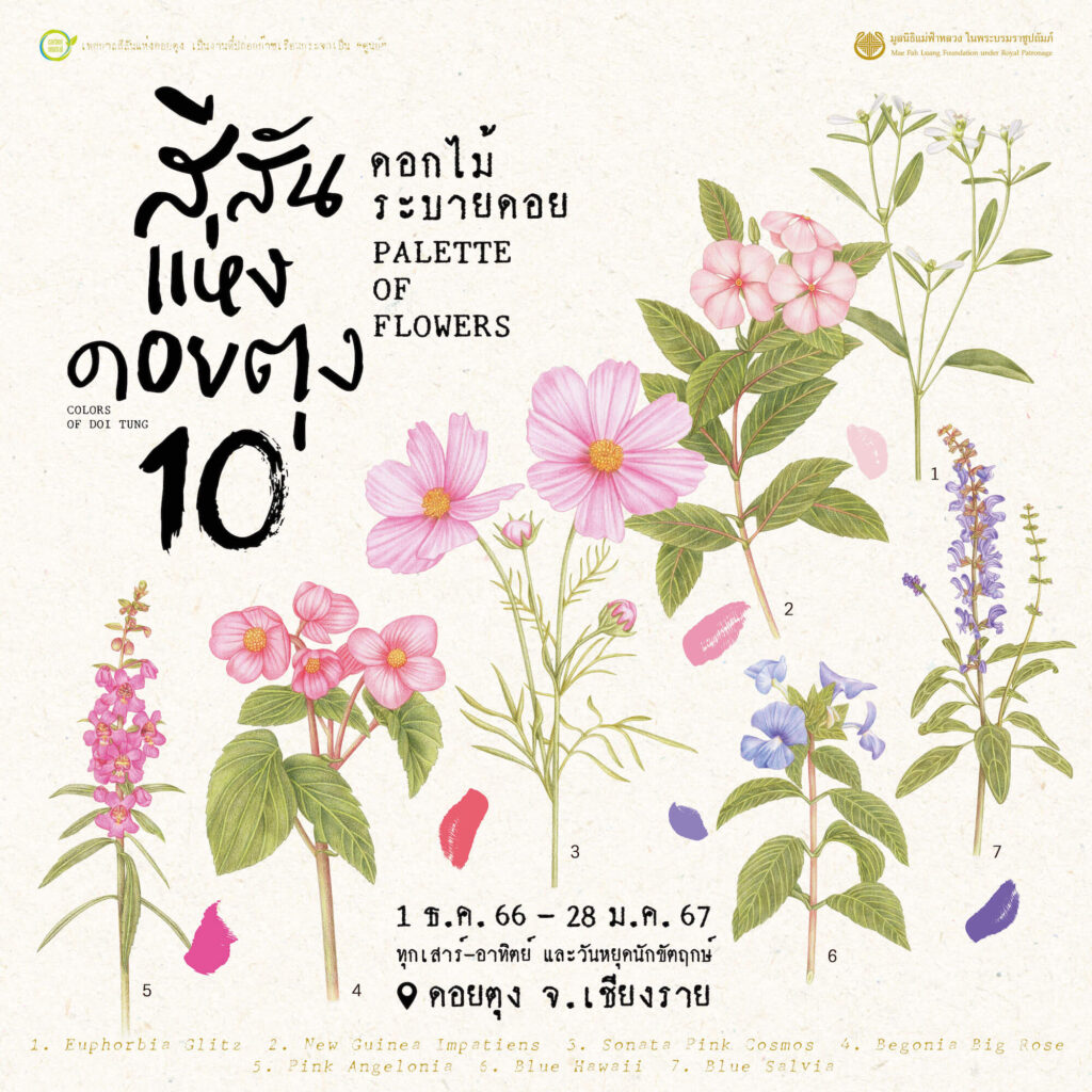 เทศกาลสีสันแห่งดอยตุง ครั้งที่ 10 ในธีม "ดอกไม้ระบายดอย"